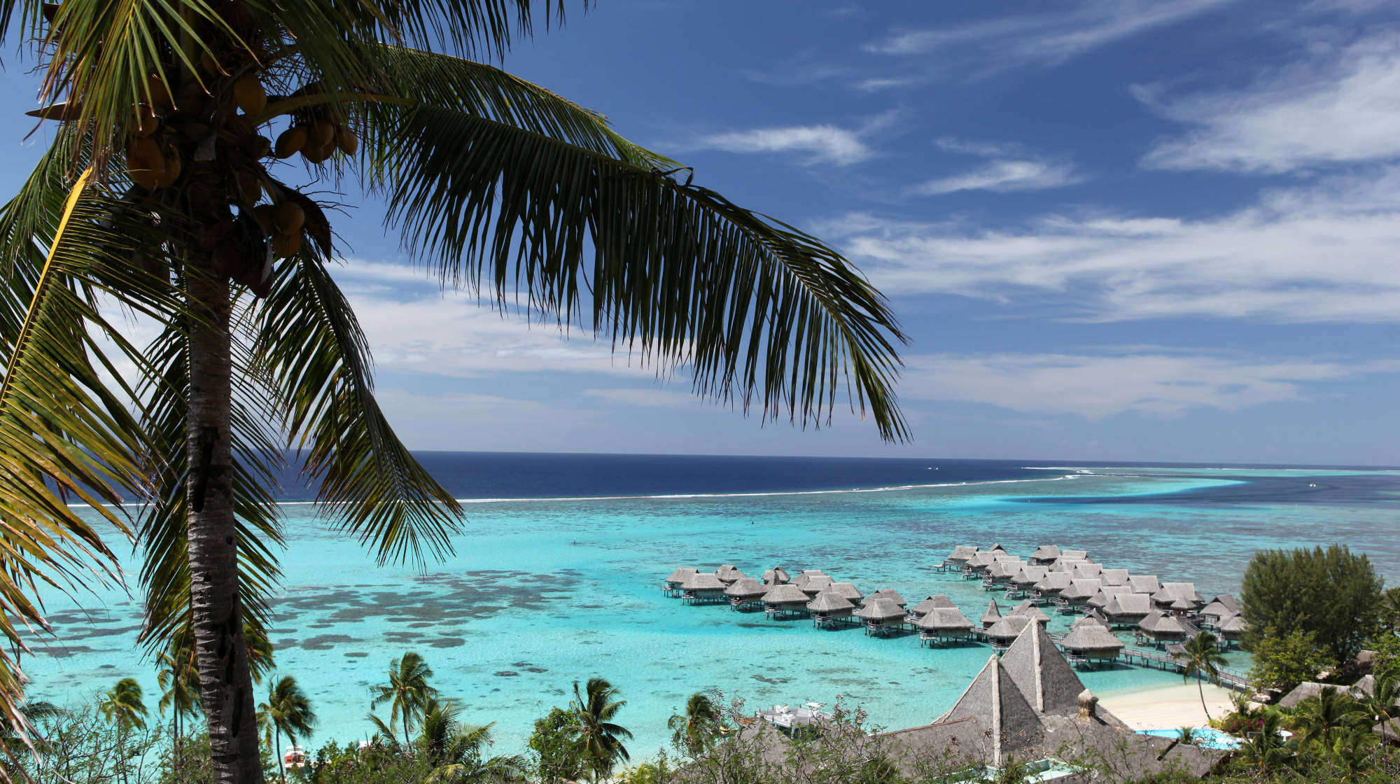 3977d6f11dca5981a24f0358008a405d