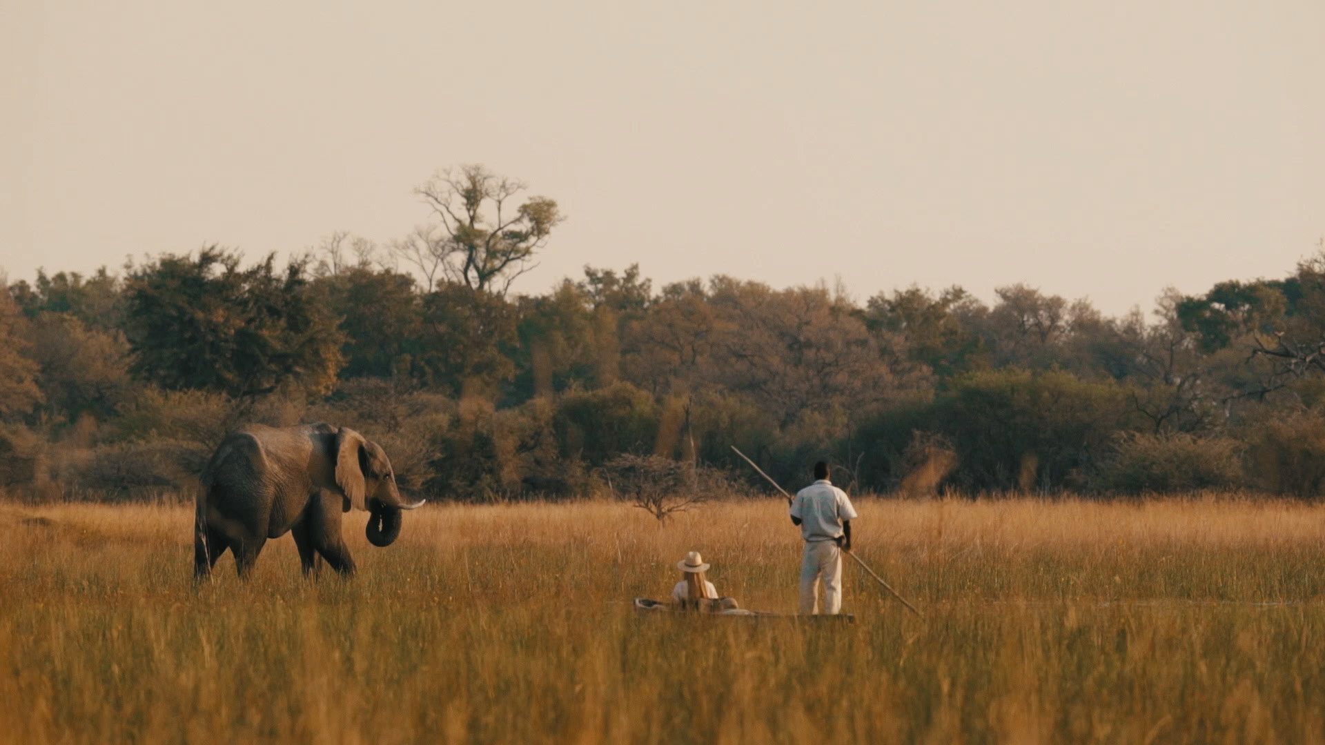 Africa; Botswana; Okavango Delta; Sanctuary Chief's Camp