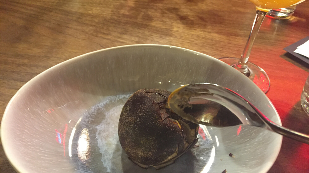 Steamboat Ski Resort Colorado x Messina Creative Department