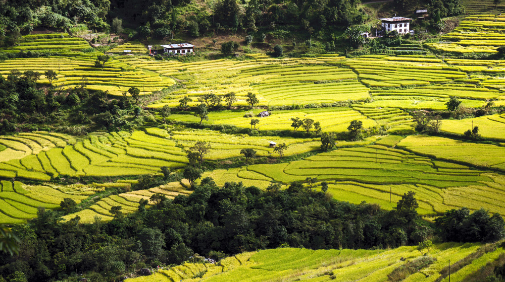 Punakha Valley, Bhutan