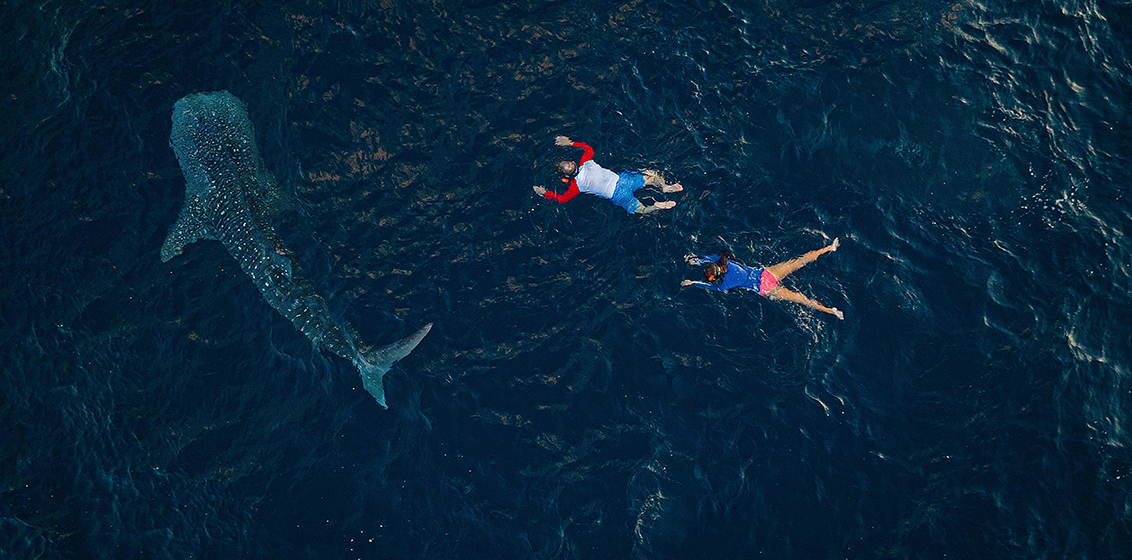 Aqua South Raja Ampat